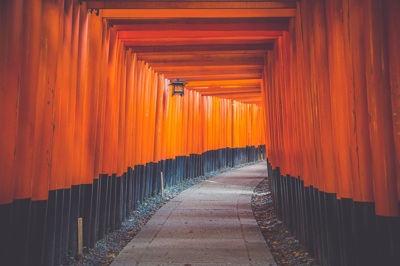 Image - architecture art bright color