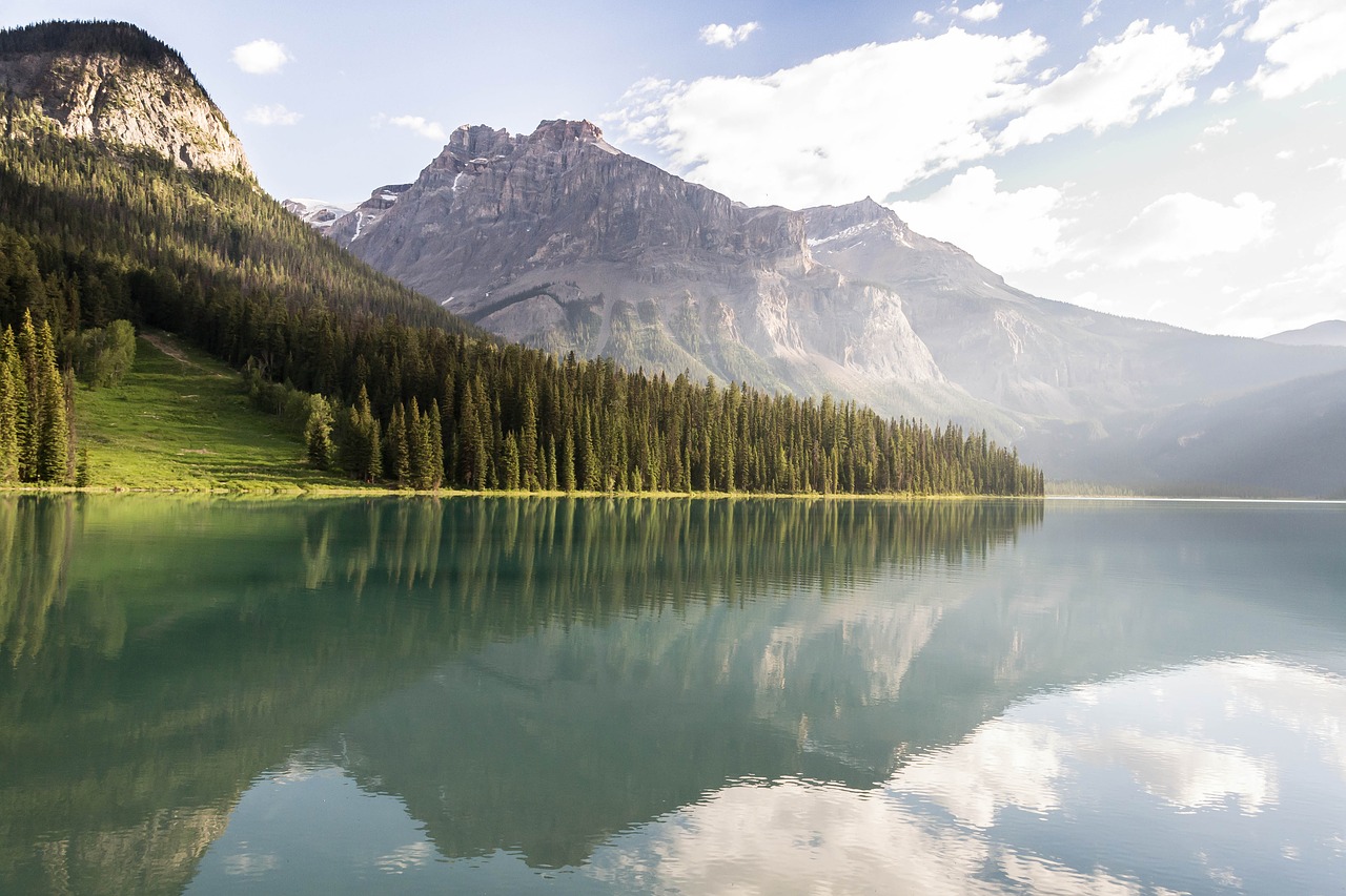 Image - forest lake landscape mountain