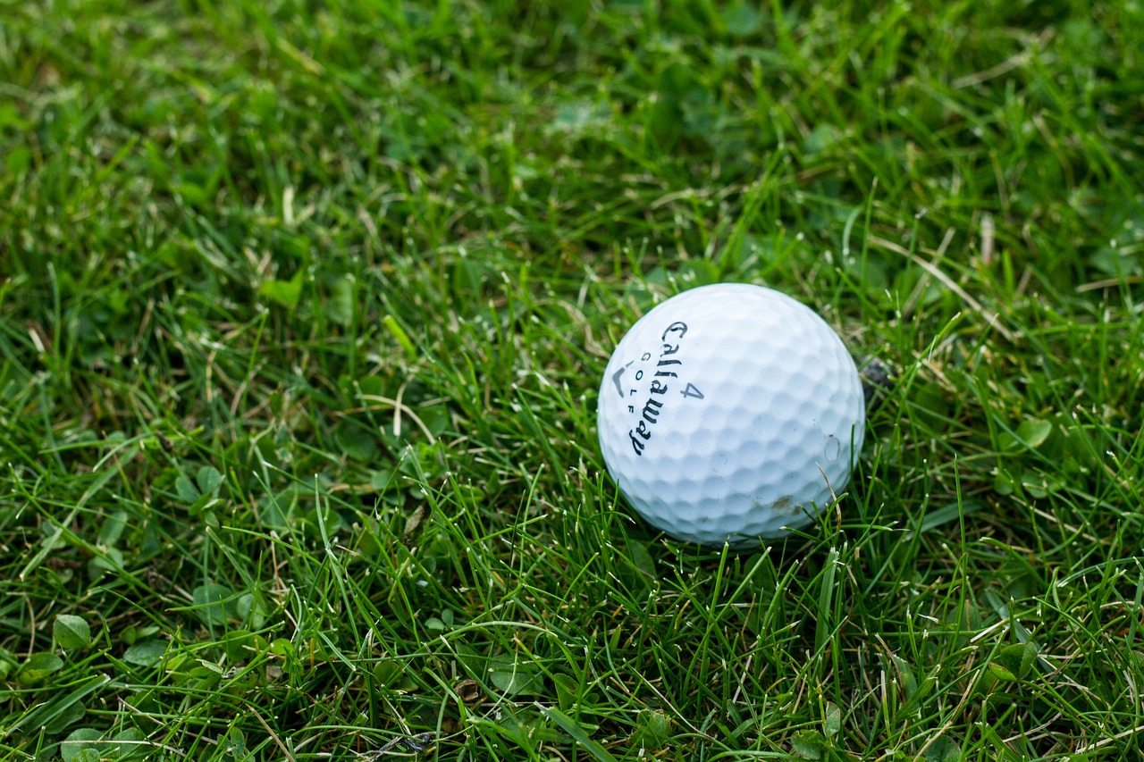 Image - golf golf ball grass green norway