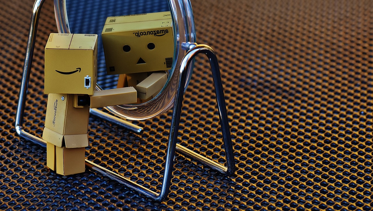 Image - danbo figure mirror mirror image