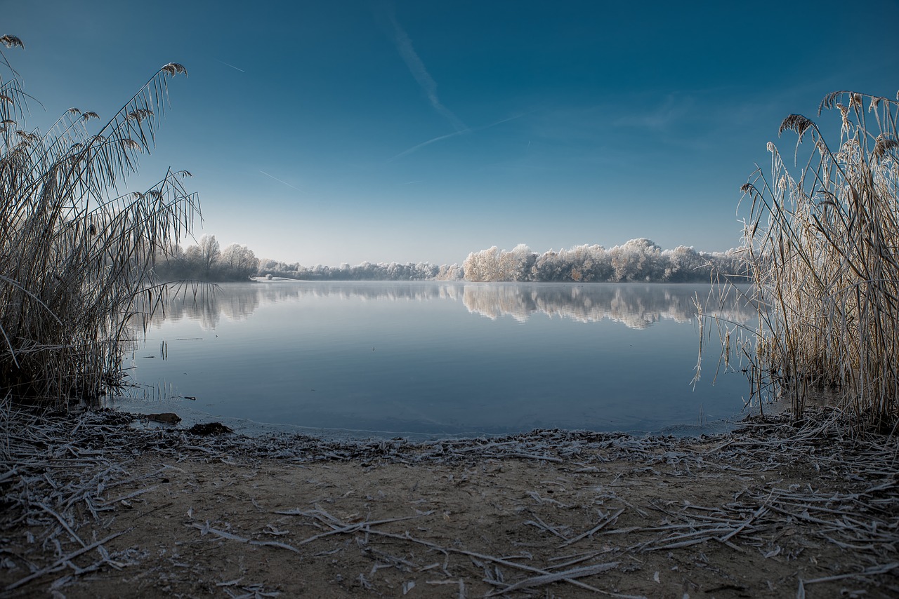 Image - winter lake cold nature trees