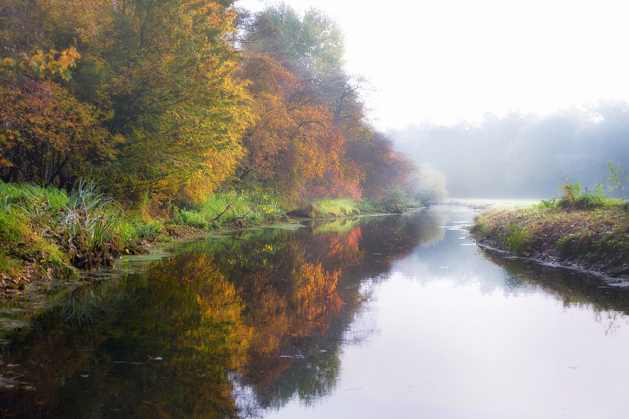 Image - river fog rain autumn winter
