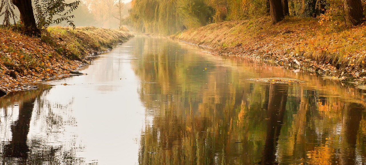 Image - river mirroring bridge niederrhein