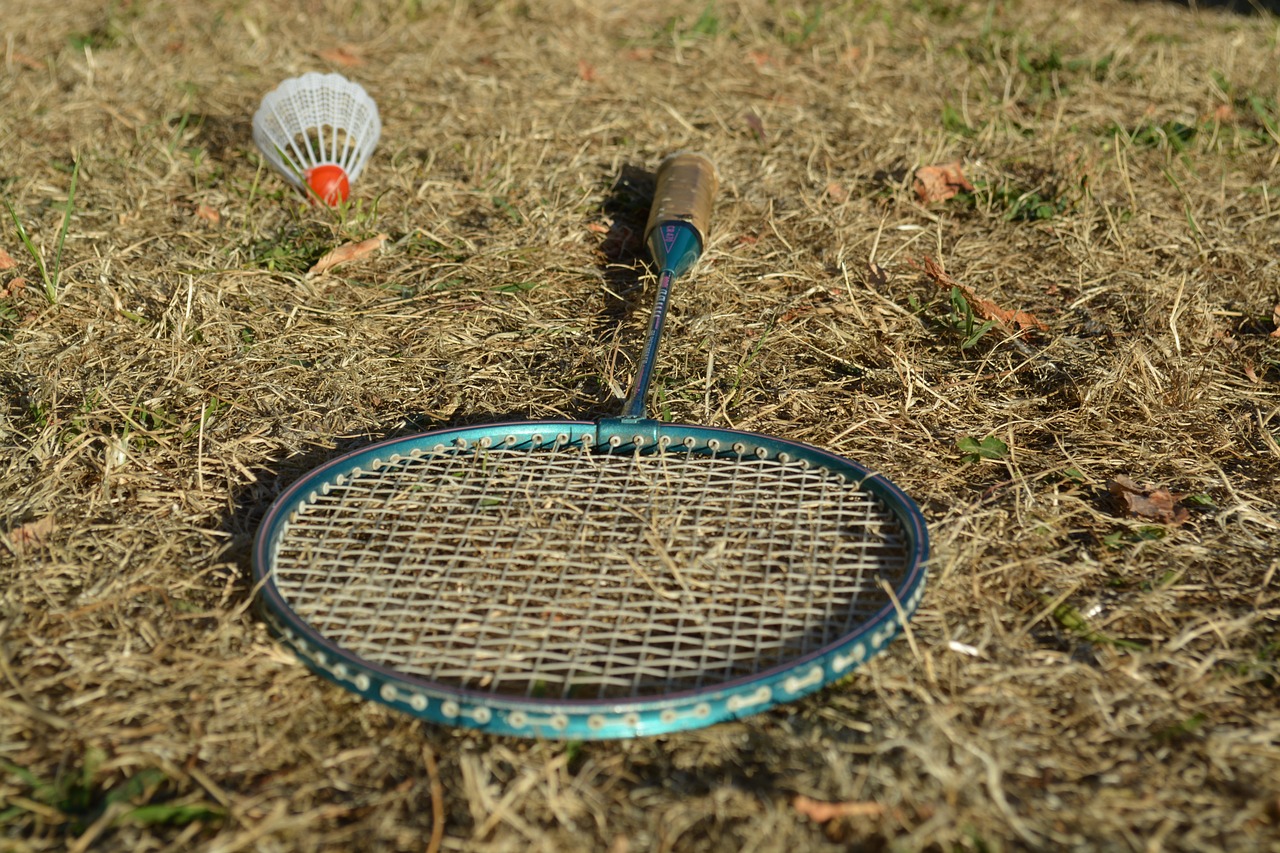 Image - badminton racket shuttlecock game