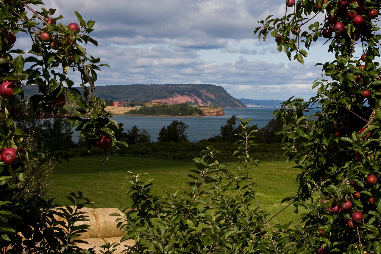 Image - blomidon nova scotia apples orchard