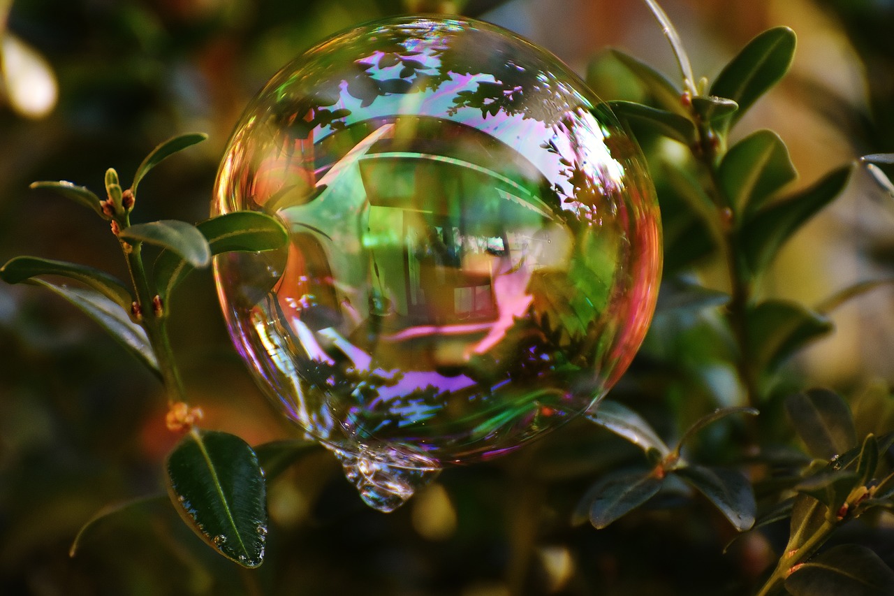 Image - soap bubble colorful buxbaum buxus