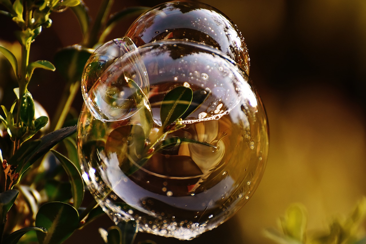 Image - soap bubble colorful buxbaum buxus