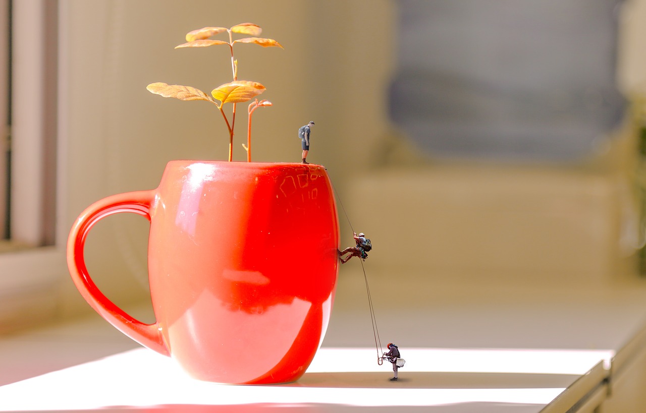 Image - flowerpot climb flowerpot climb