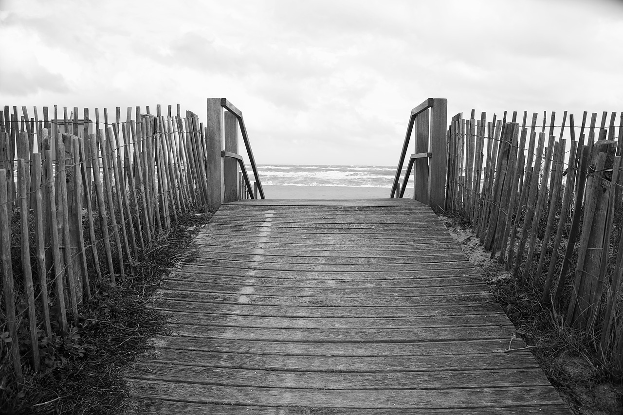 Image - wood beach sea sand palisade