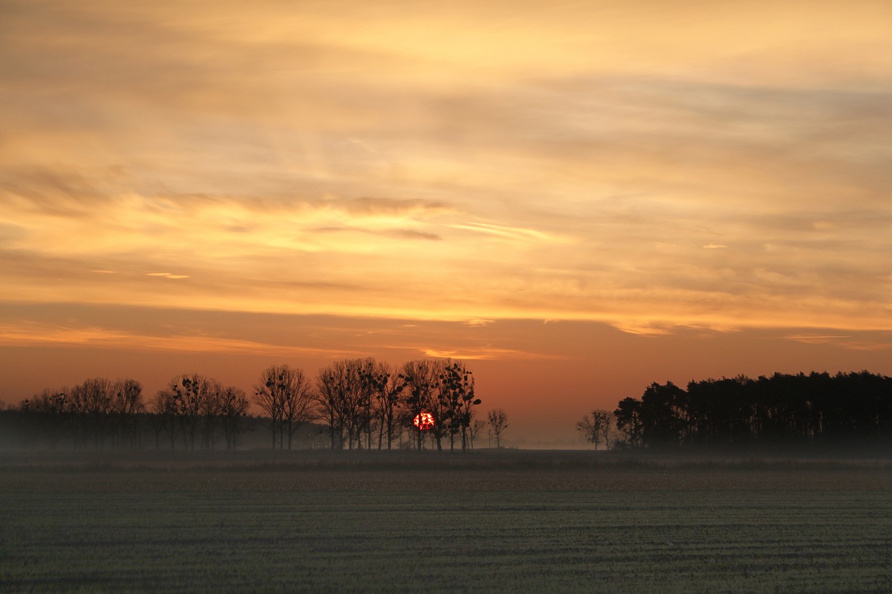 Image - sunrise the sun orange morning