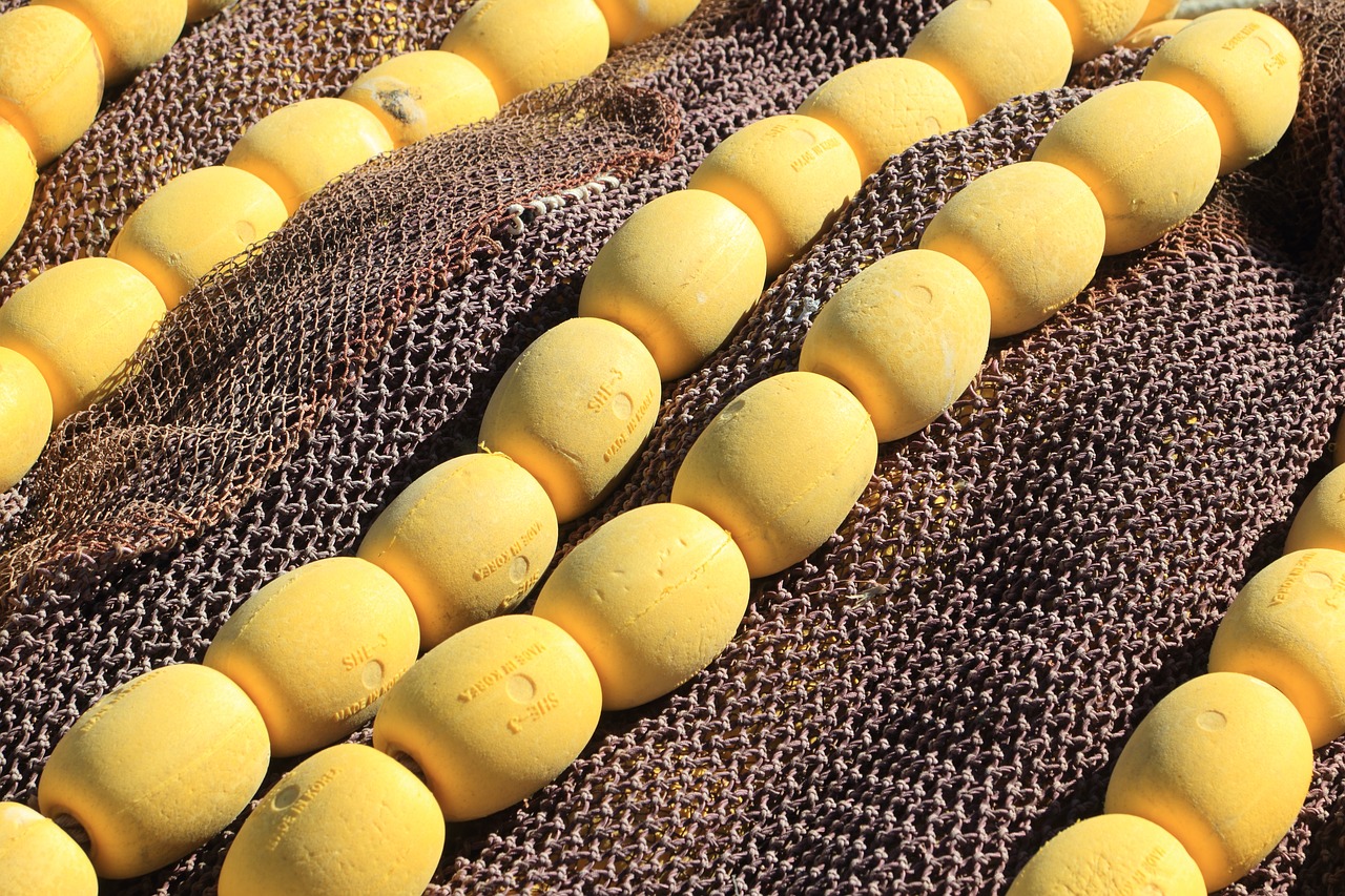 Image - portugal olhao fishing harbor net