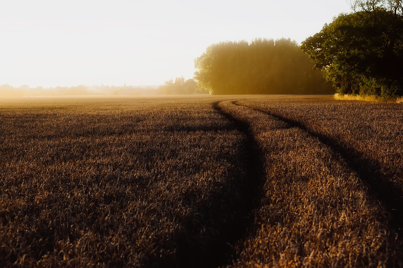 Image - england landscape scenic sunrise