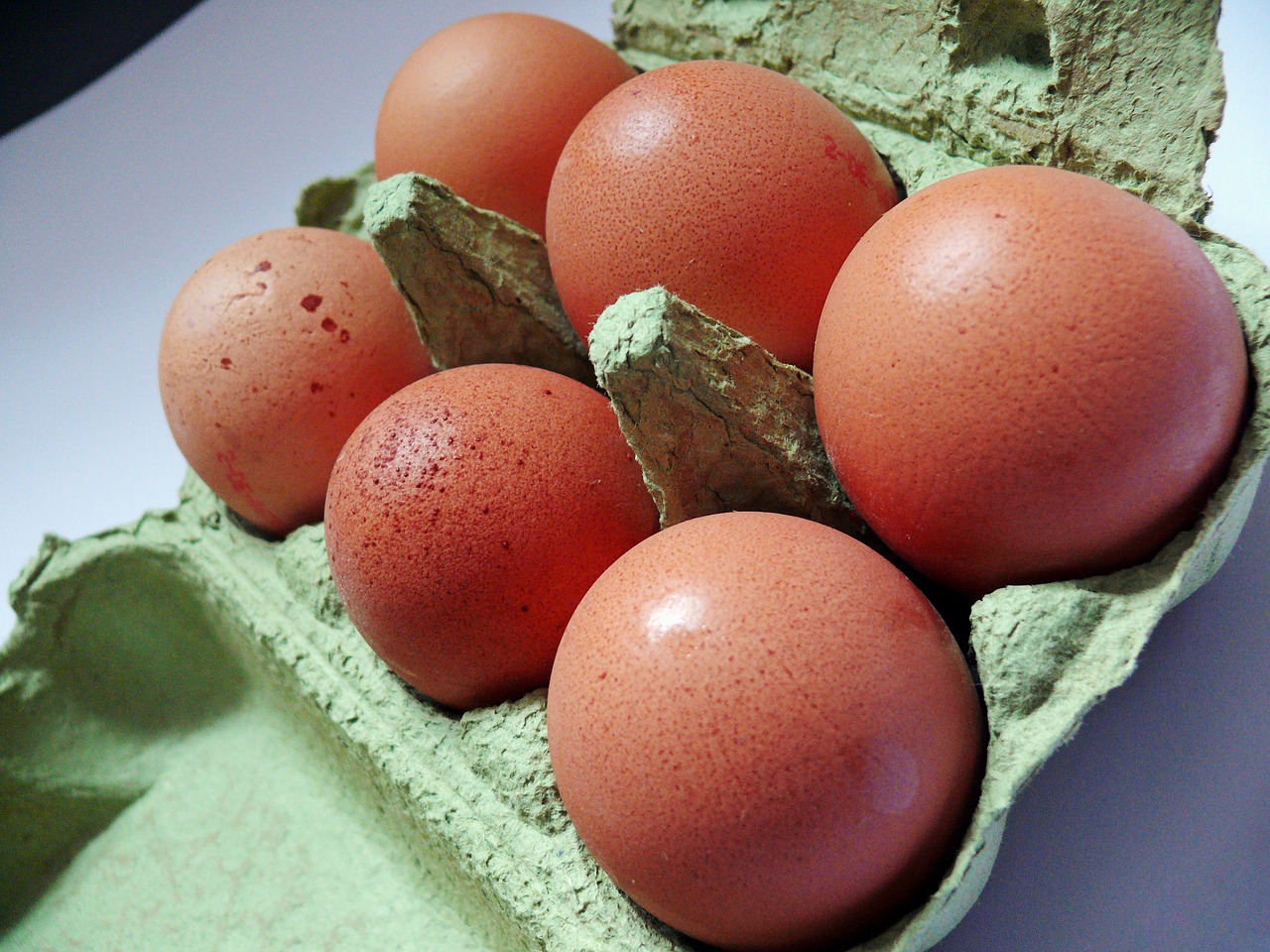 Image - egg egg carton chicken eggs food