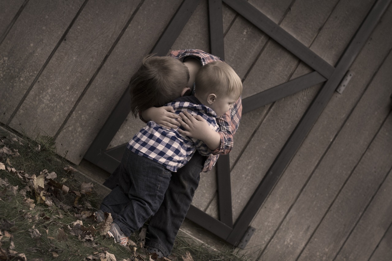 Image - brothers hugging barn door boy