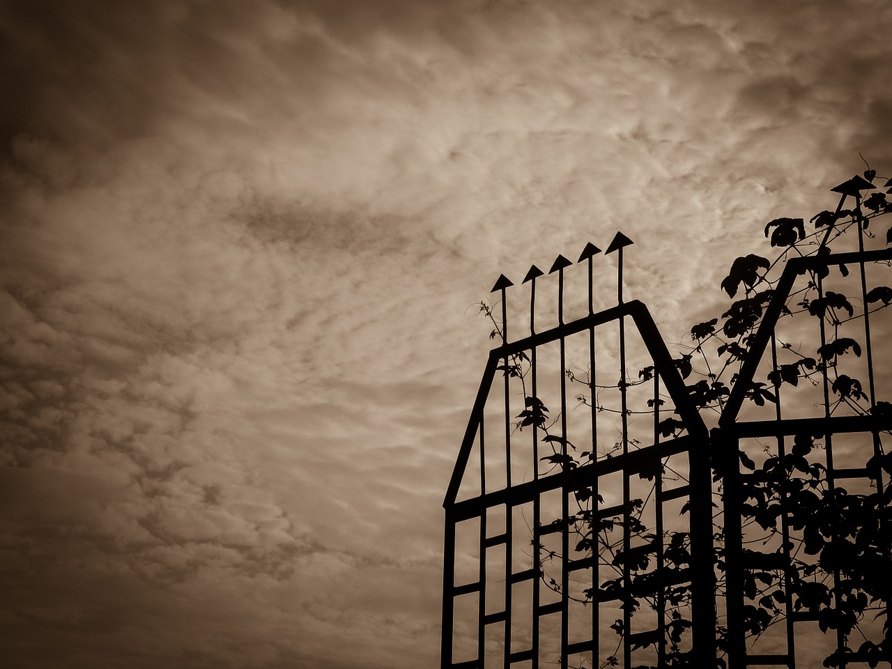 Image - sky sepia silhouette vintage