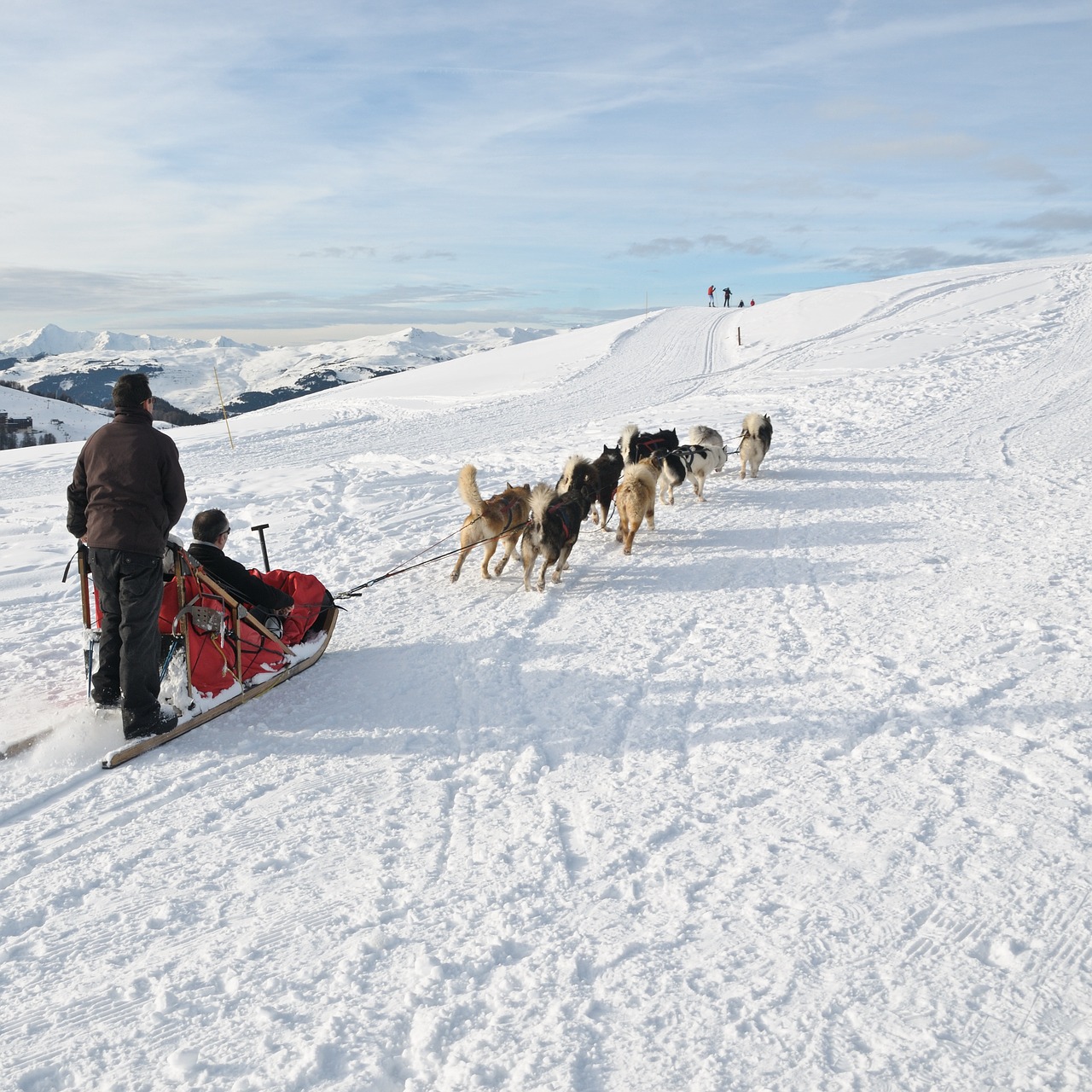 Image - dog sled snow mountain