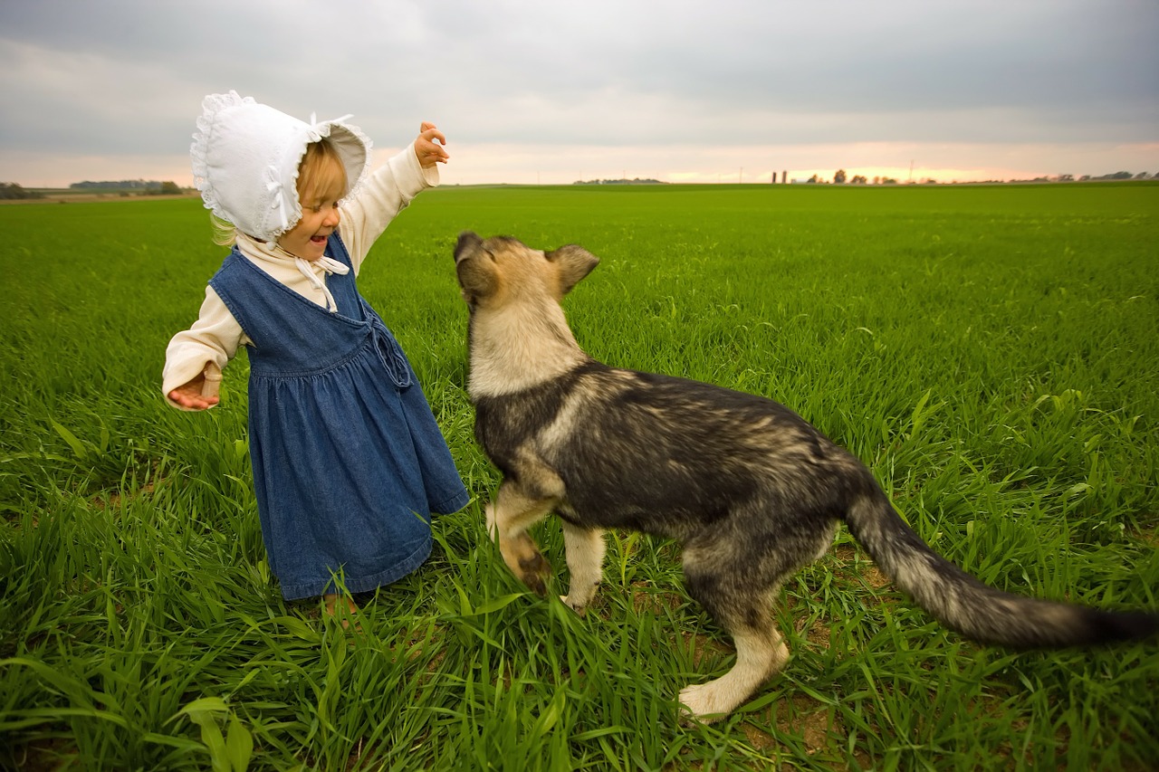 Image - farm rural girl dog playing field