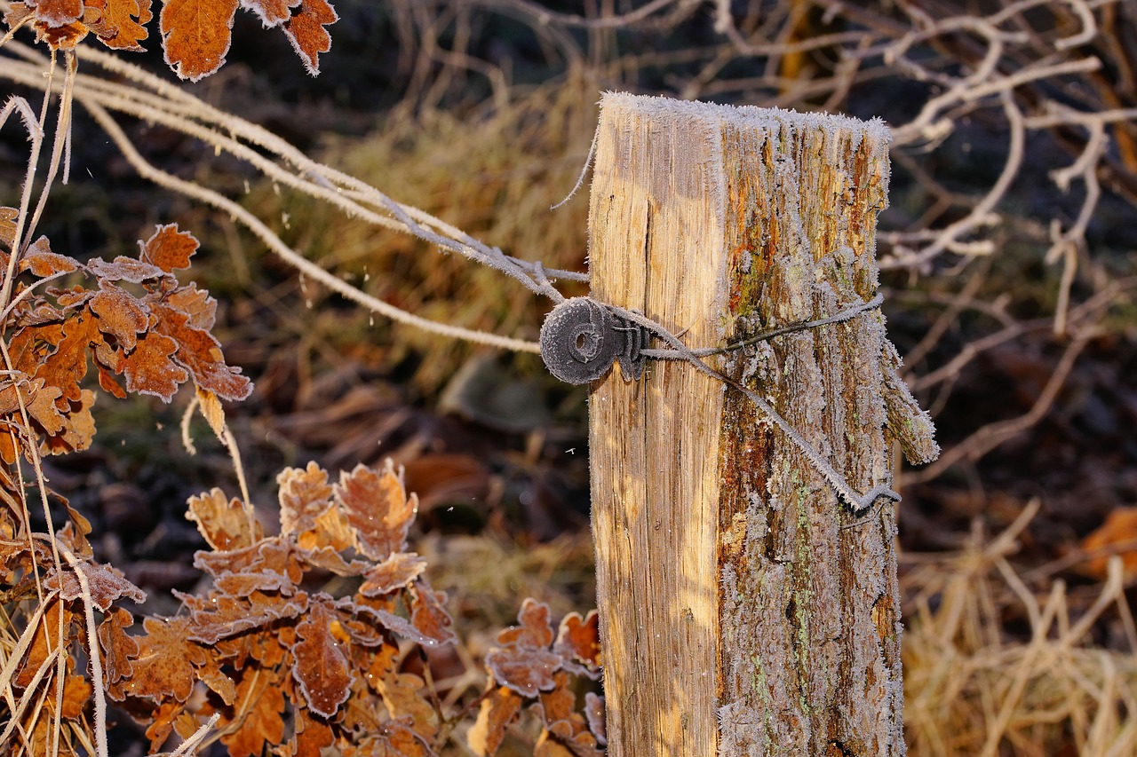 Image - pasture fence post wooden posts