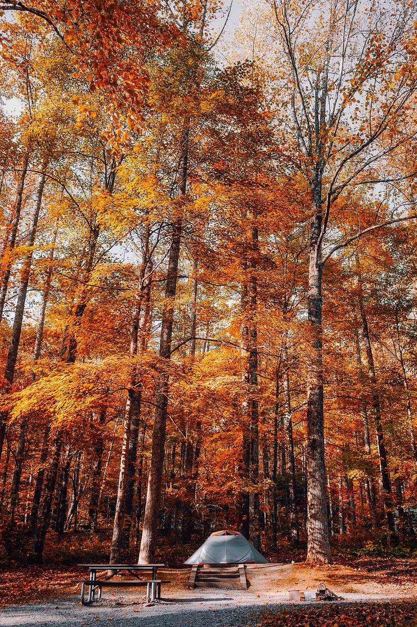 Image - great smoky mountains national park