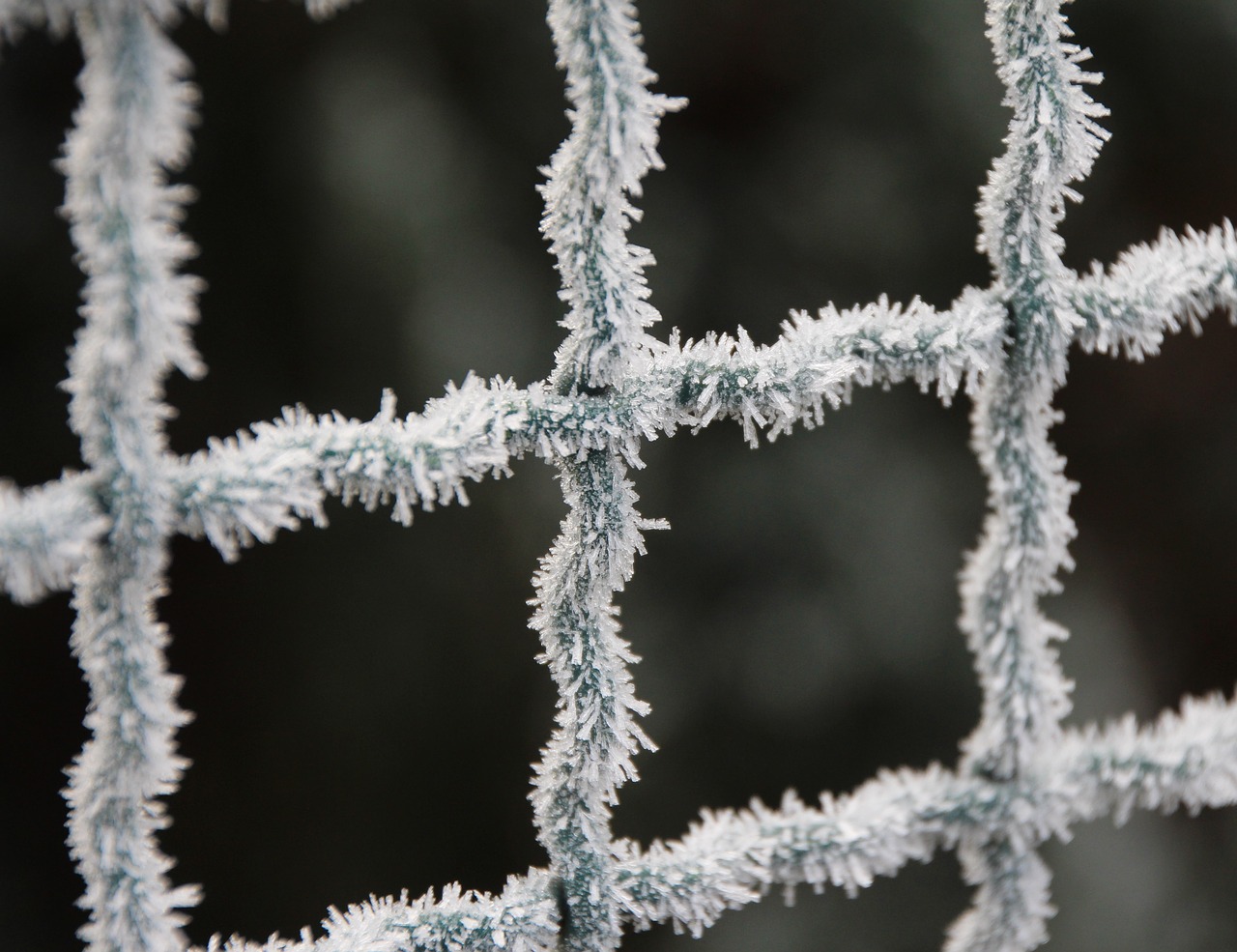 Image - frost fence winter icy cold