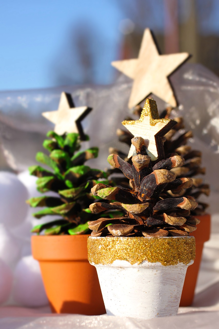 Image - christmas tree pine cones star pot