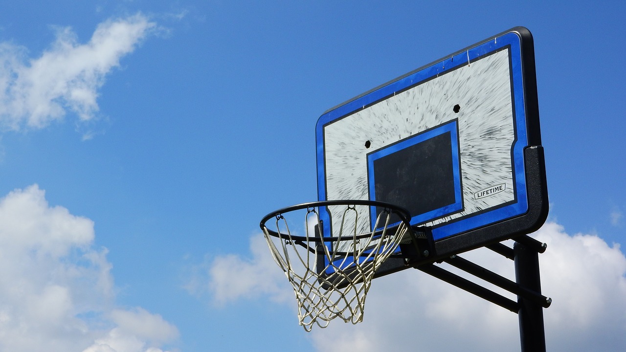 Image - the recycle bin basketball