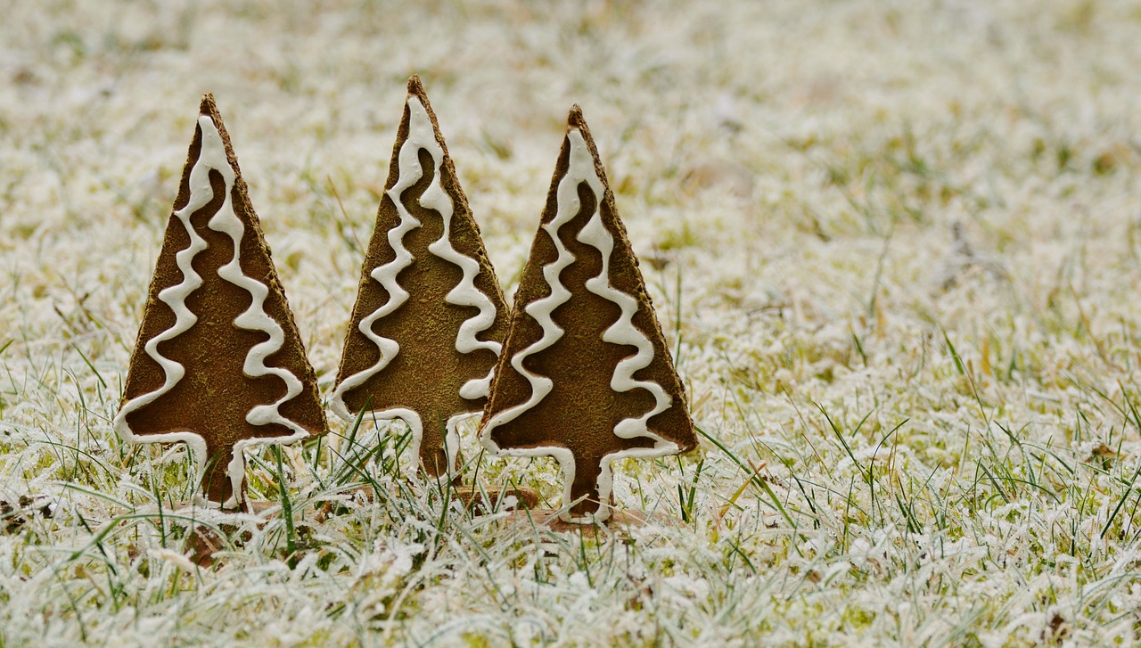 Image - trees gingerbread hoarfrost winter