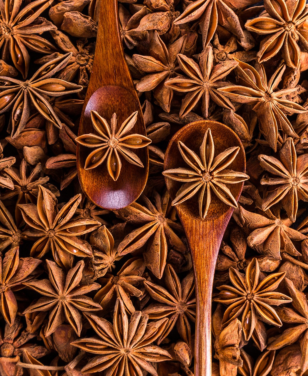 Image - anise spices seeds sprockets aroma