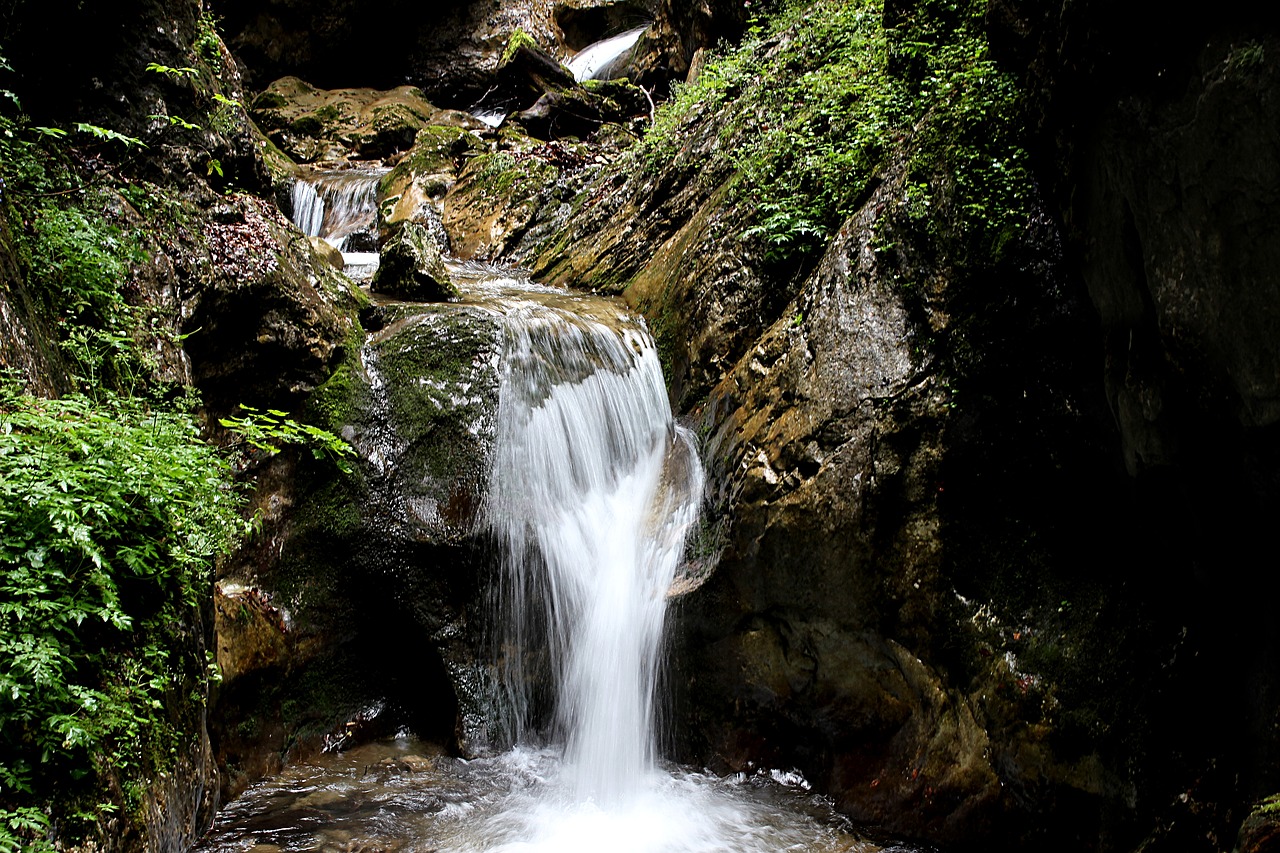 Image - waterfall forest nature moss water