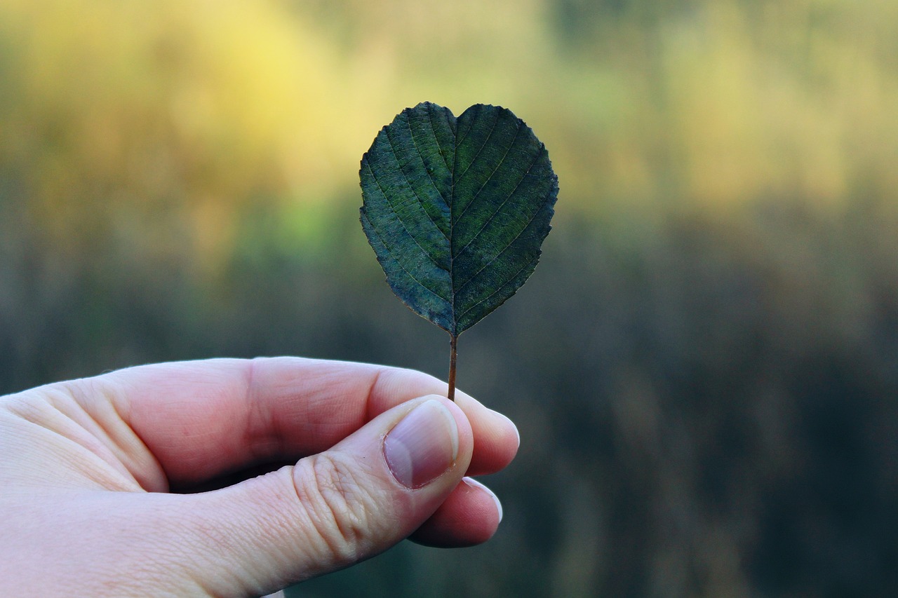 Image - hand leaf autumn finger nature