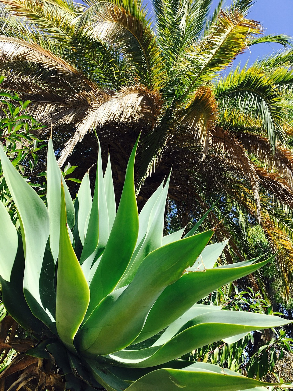 Image - nature portugal algarve factory