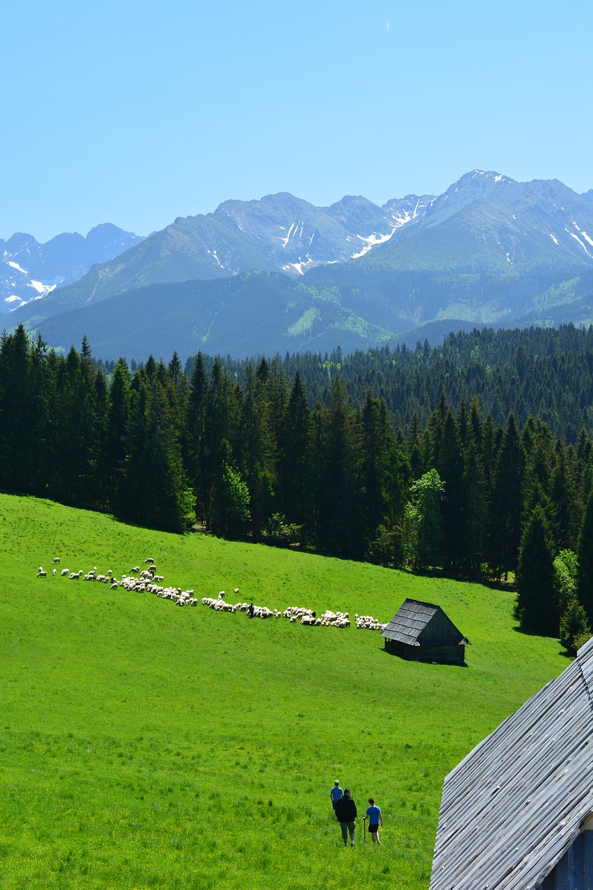 Image - tatry buried top view landscape