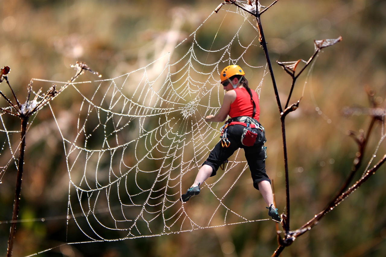 Image - free climbing climb cobweb