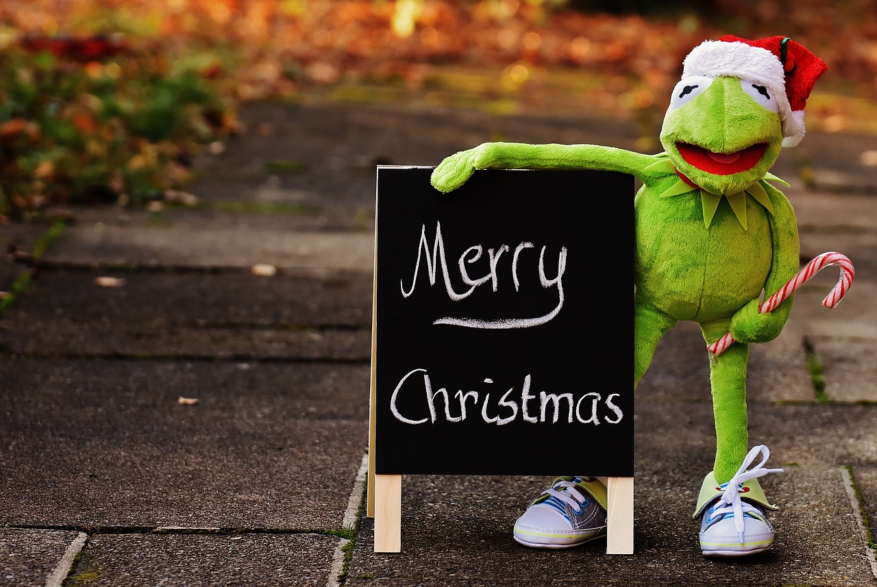 Image - kermit frog christmas santa hat