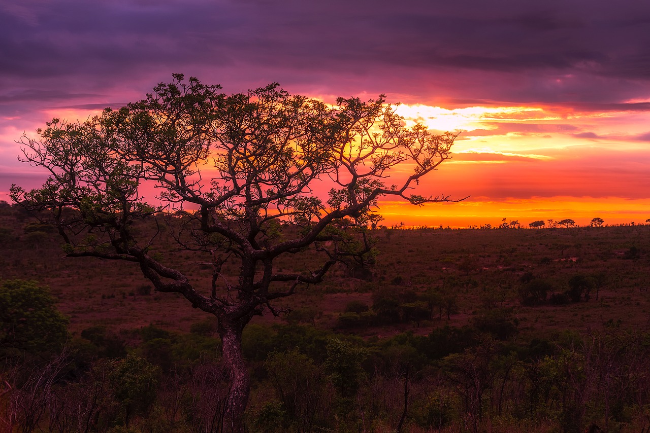 Image - africa sunset dusk sky clouds