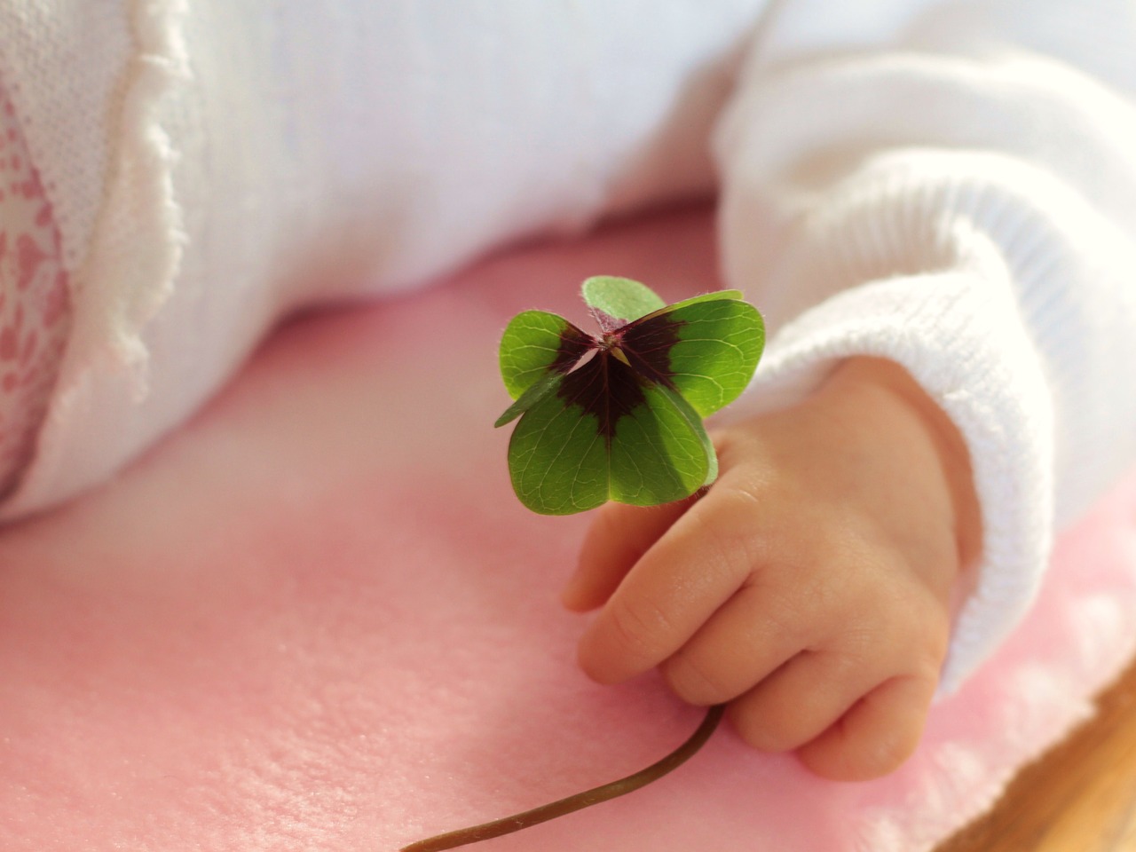 Image - four leaf clover luck baby