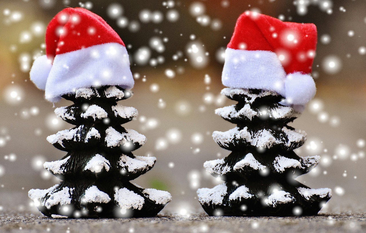 Image - christmas firs snow trees funny