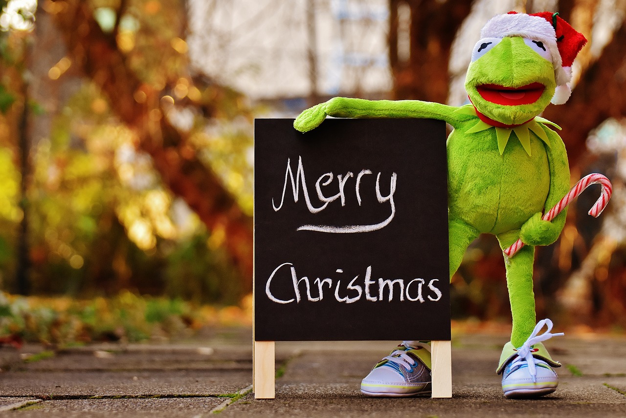 Image - kermit frog christmas santa hat