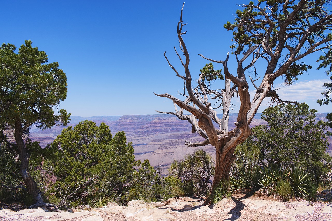 Image - grand canyon landscape nature