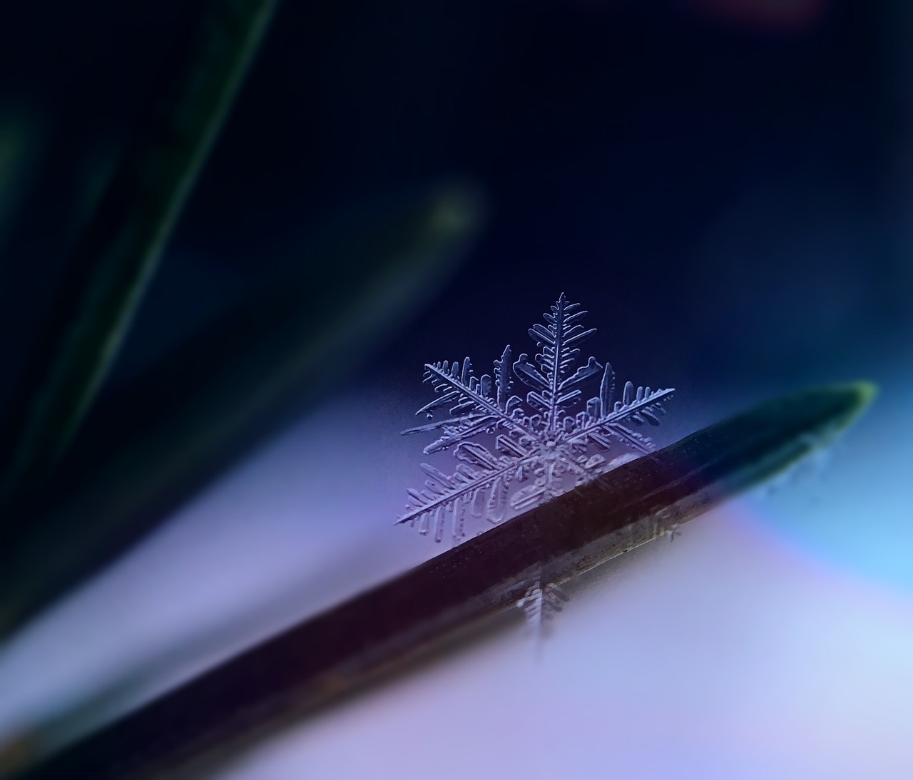 Image - snowflake snow ice crystal winter