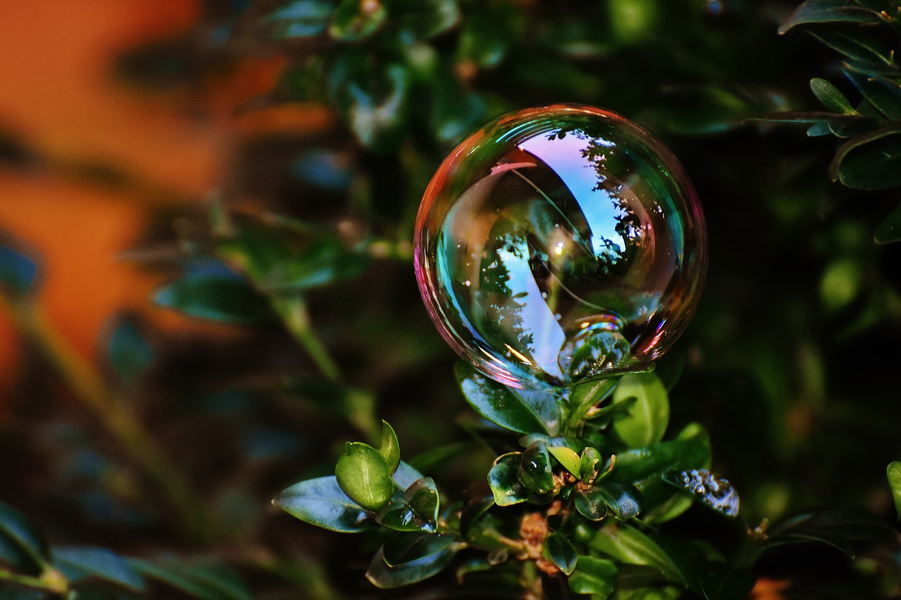 Image - soap bubble colorful buxbaum buxus