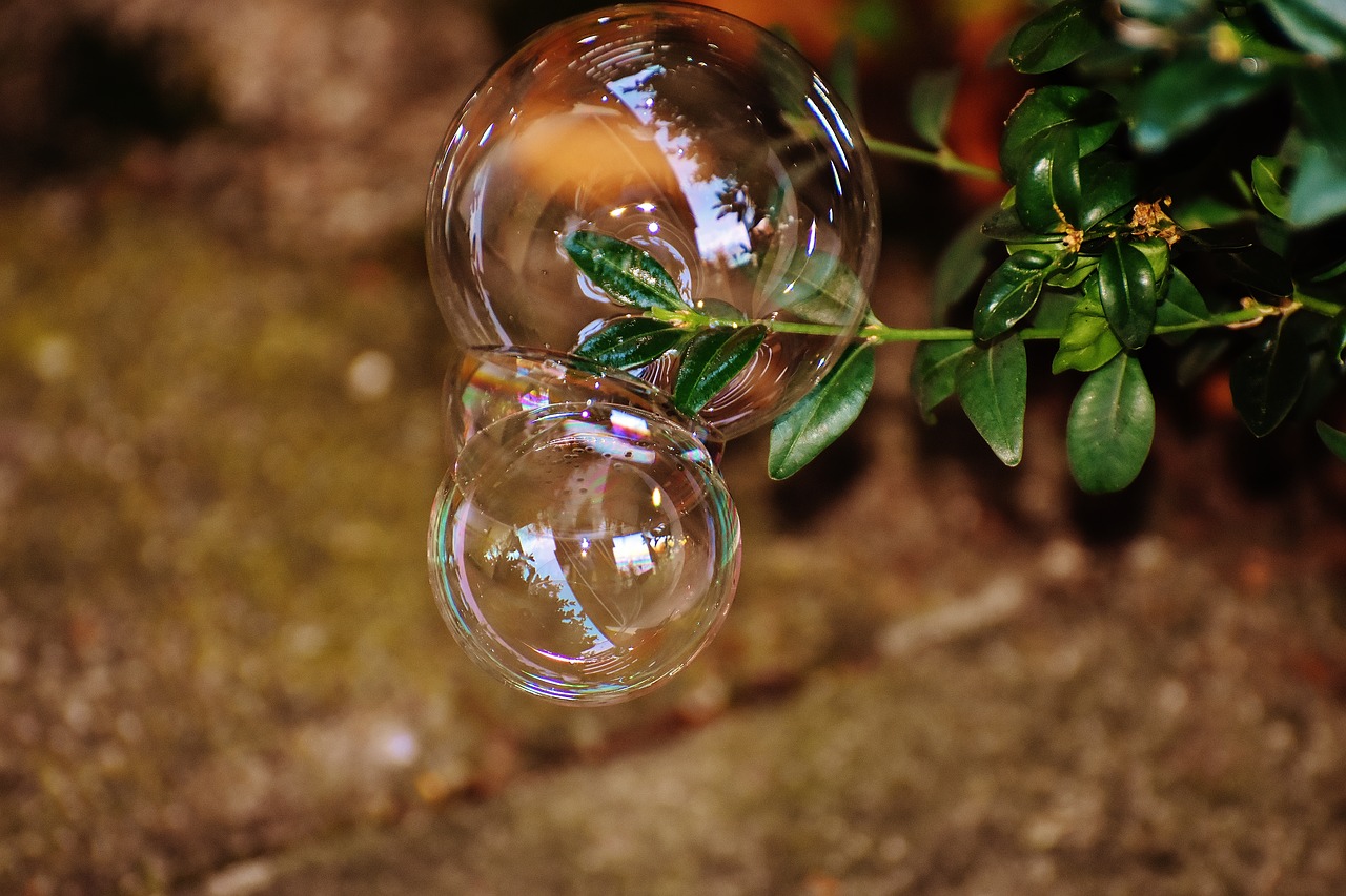 Image - soap bubble colorful buxbaum buxus