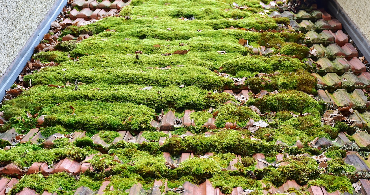 Image - roof brick moss roofing tile