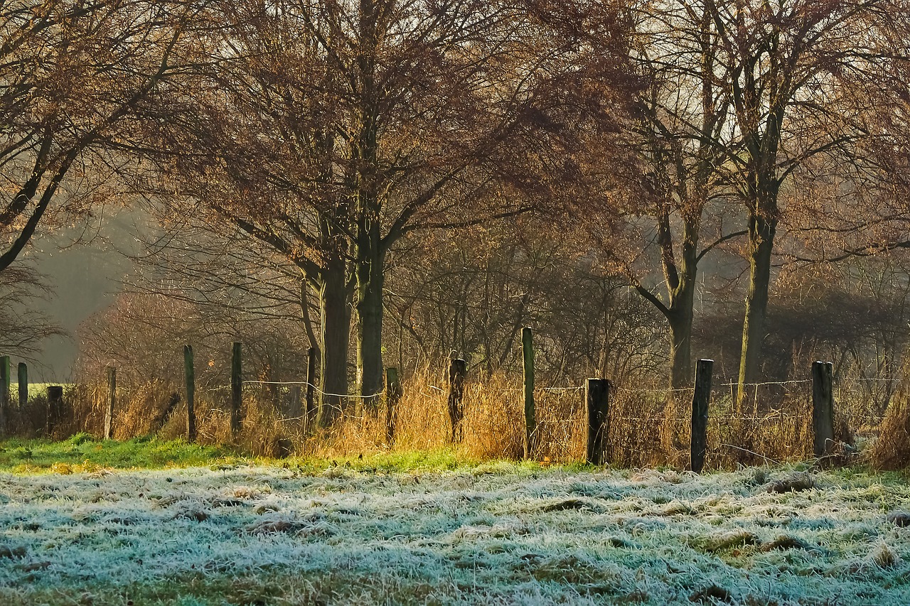 Image - nature landscape fence away mood