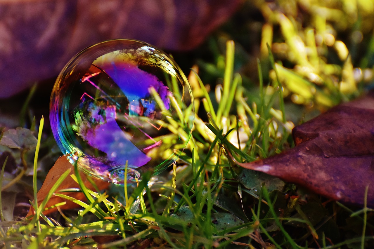 Image - soap bubble colorful meadow grass