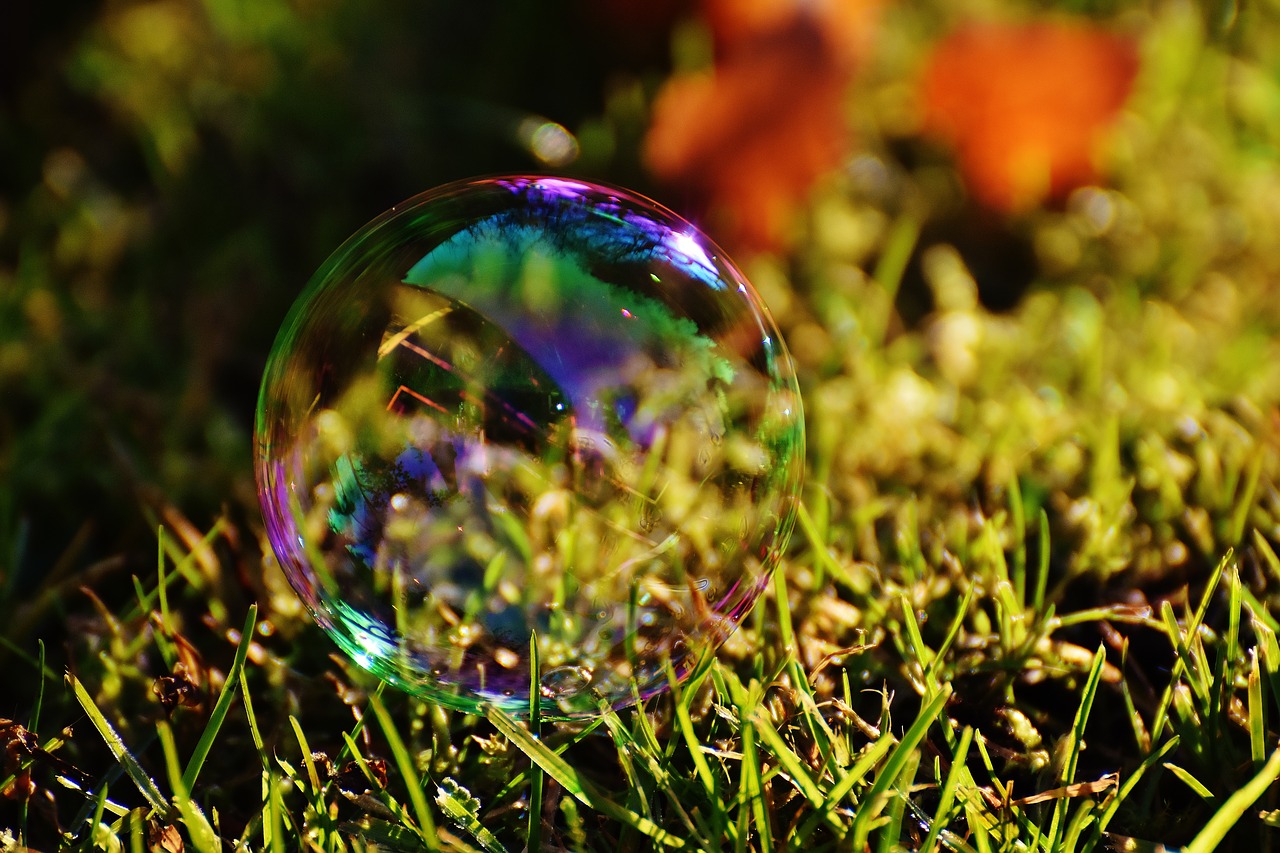 Image - soap bubble colorful meadow grass