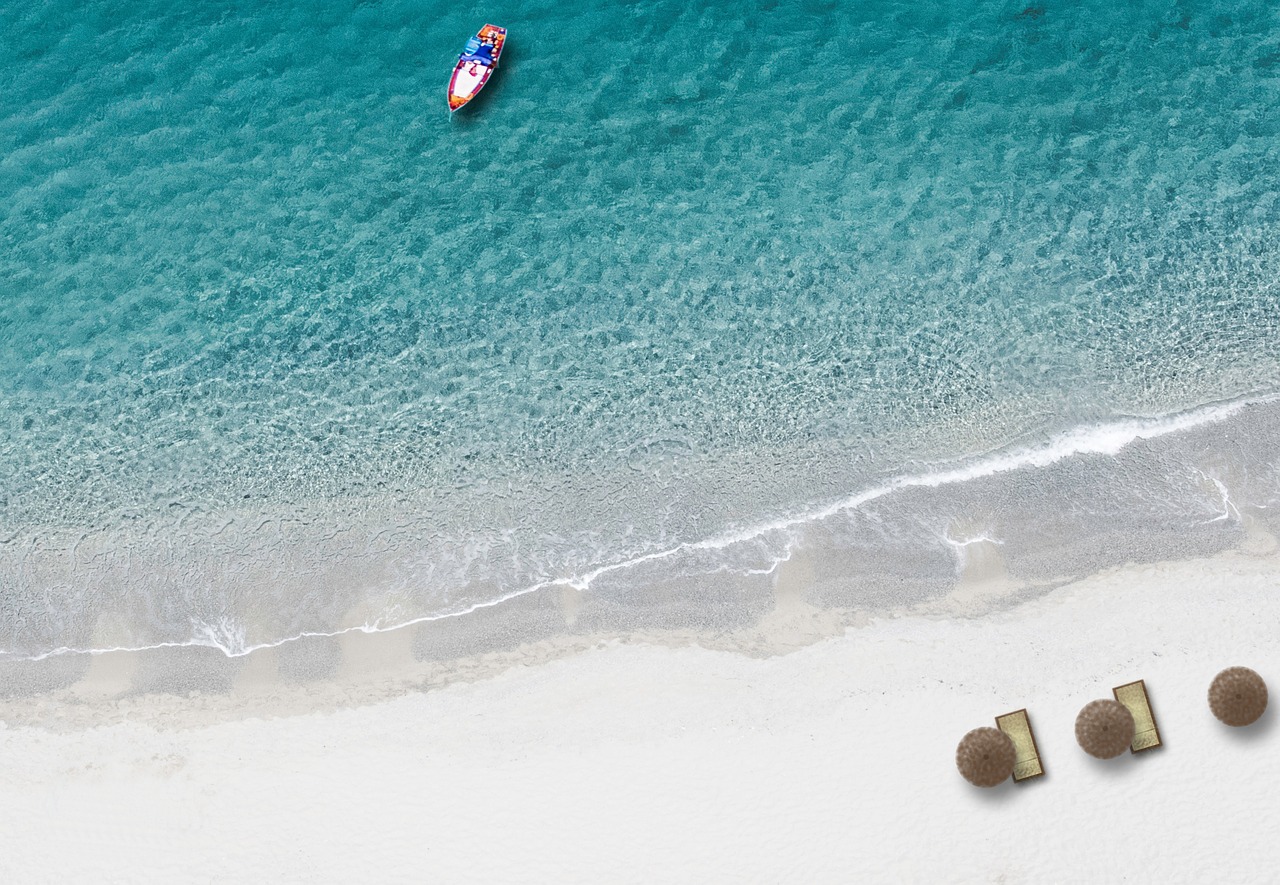 Image - beach bird s eye view drone sea