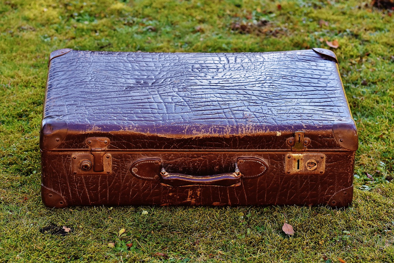 Image - luggage antique leather