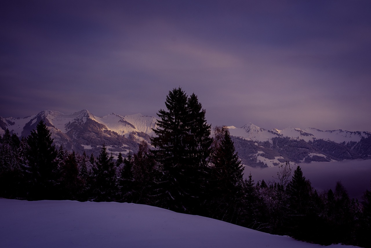 Image - landscape wintry winter snow