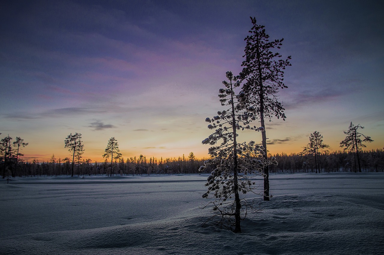 Image - winters landscape snow tree nature